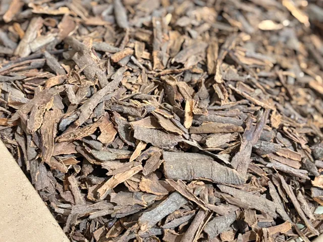 อบเชยแตก (Broken Cinnamon / Cassia Chips)