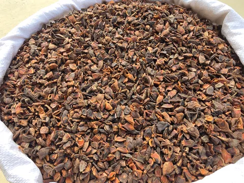 โป๊ยกั๊กแตก (Broken Star Anise)