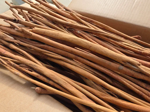 อบเชยเทศ (Cinnamon / Cassia)